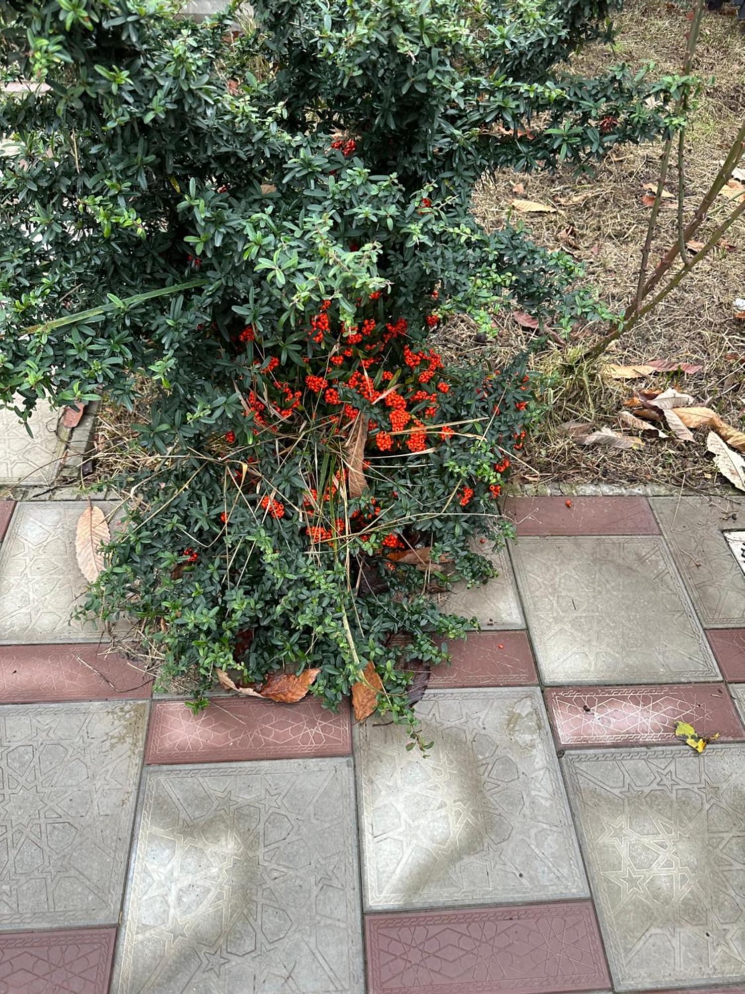 הוילה גאלבה Friend'S House מראה חיצוני תמונה